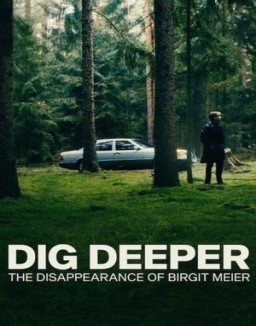 A fondo: La desaparición de Birgit Meier serie castellano