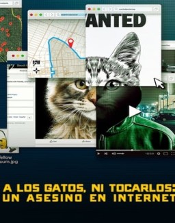 A los gatos ni tocarlos: Un asesino en Internet serie castellano