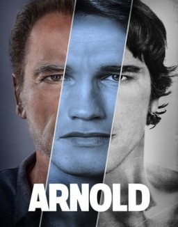 Arnold serie castellano