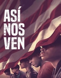 Así nos ven serie castellano