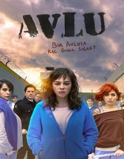 Avlu: El patio serie castellano