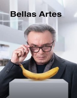 Bellas artes serie castellano