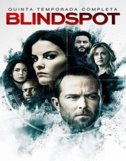 Blindspot serie castellano