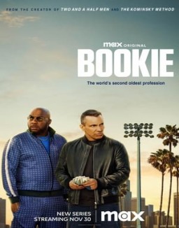 Bookie serie castellano