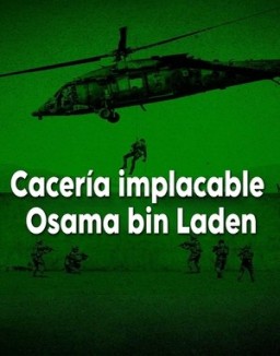 Cacería implacable: Osama bin Laden serie castellano