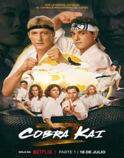 Cobra Kai serie castellano