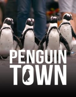 Colonia Pingüino serie castellano
