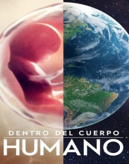 Dentro del cuerpo humano serie castellano