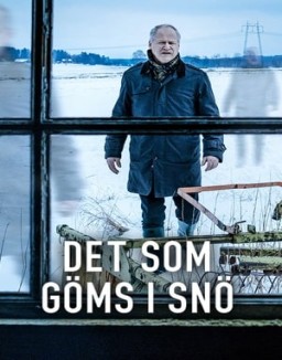 Det som göms i snö serie castellano