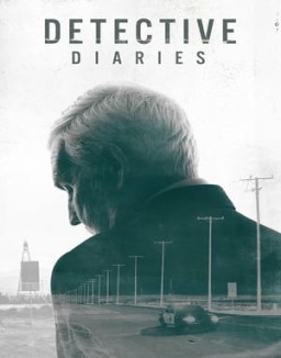 Diario de un detective serie castellano