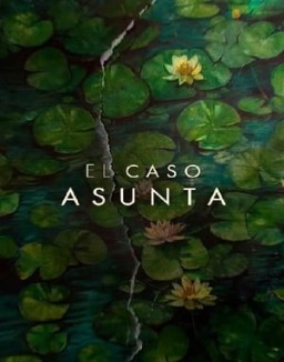 El caso Asunta serie castellano