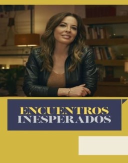 Encuentros inesperados serie castellano