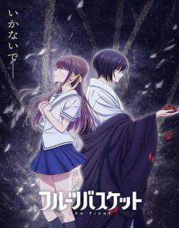 Fruits Basket serie castellano