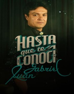 Hasta que te conoci serie castellano