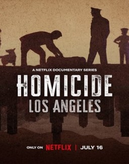 Homicidio serie castellano
