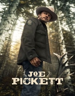 Joe Pickett serie castellano