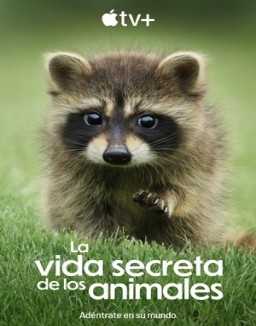 La vida secreta de los animales serie castellano