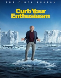 Larry David serie castellano