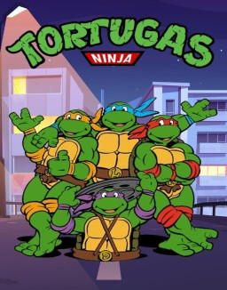 Las Tortugas Ninja (1987) serie castellano