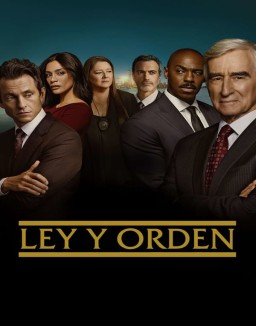 Ley y orden (1990) (Law & Order) serie castellano