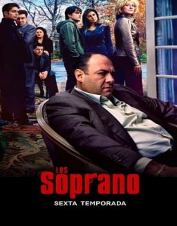 Los Soprano serie castellano