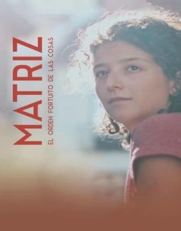 Matriz serie castellano