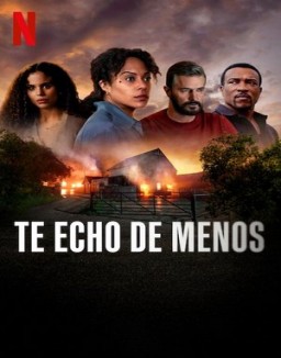 Me haces falta serie castellano