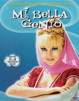 Mi bella genio serie castellano