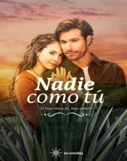 Nadie Como Tú serie castellano