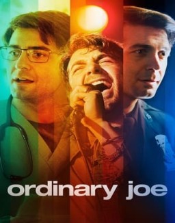 Ordinary Joe serie castellano