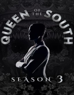 Queen of the South serie castellano