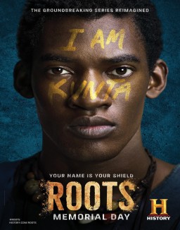 Roots serie castellano