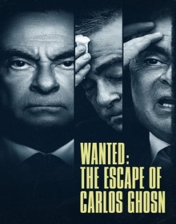Se busca: Carlos Ghosn serie castellano