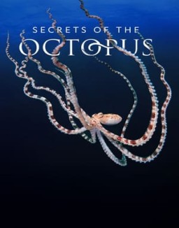 Secrets of the Octopus serie castellano