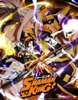 Shaman King serie castellano
