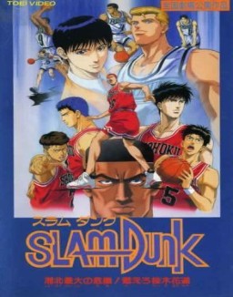 Slam Dunk OVA serie castellano