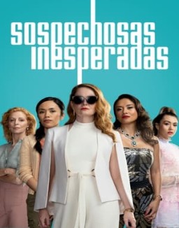 Sospechosas inesperadas serie castellano