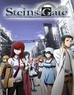 Steins Gate serie castellano