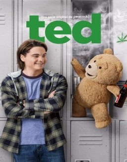 ted serie castellano