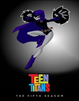 Teen Titans serie castellano