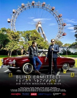 The Blind Detective serie castellano
