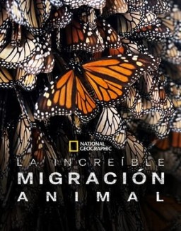 Viajes increíbles de animales serie castellano
